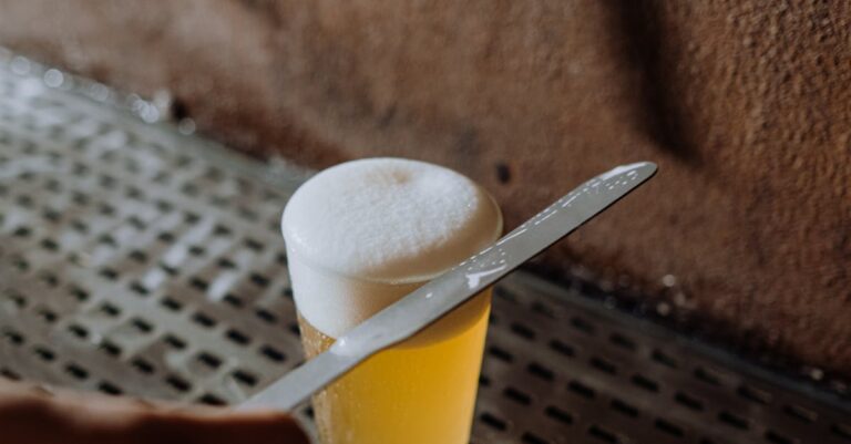 Close-up of a freshly poured craft beer with foam, served at a brewery.
